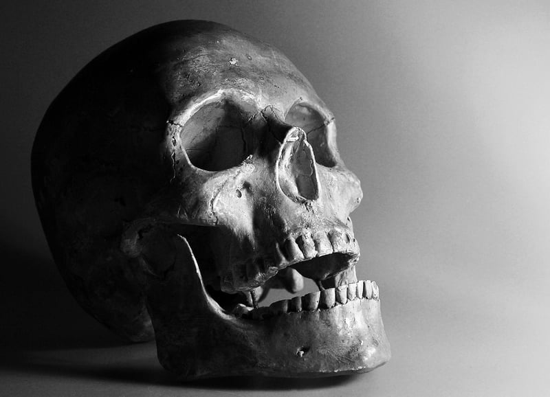 Skull and Bones Symbol